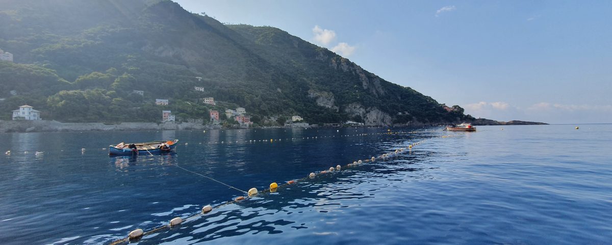 piccola pesca artigianale sostenibile Liguria