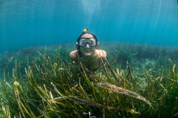 IMG_0743-Giorgia-e-la-posidonia-firma-scaled Snorkeling nell'AMP di Portofino