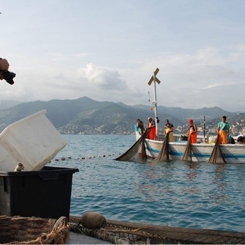 Sulle tracce della Tonnarella di Camogli