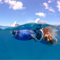 snork Snorkeling nell'AMP di Portofino