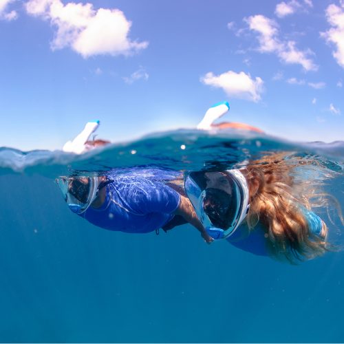 Snorkeling nell'AMP di Portofino