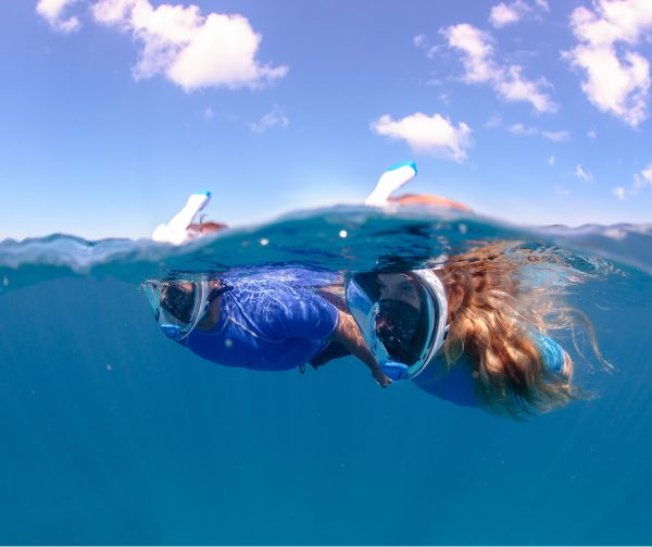 Snorkeling nell'AMP di Portofino