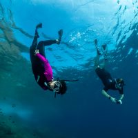 sub Snorkeling nell'AMP di Portofino